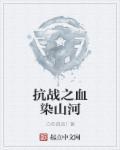 抗战之血染山河 第165章