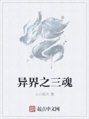 异世之魂