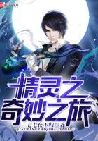 精灵之奇妙之旅TXT