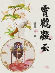 云鹤九霄所有人