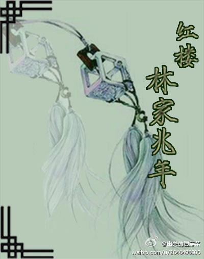 红楼梦林家家产