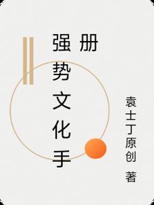 强势文化手册pdf全本