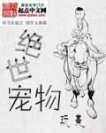 绝世宠妃百科