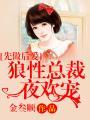 先做后爱狼性总裁夜欢宠