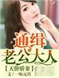 书名天价逃妻通缉令 百度可看[火