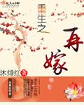 重生之再嫁王妃