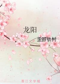 龙阳十八式