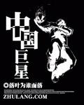 中国巨星第一名